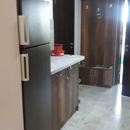 Apartment Radost *